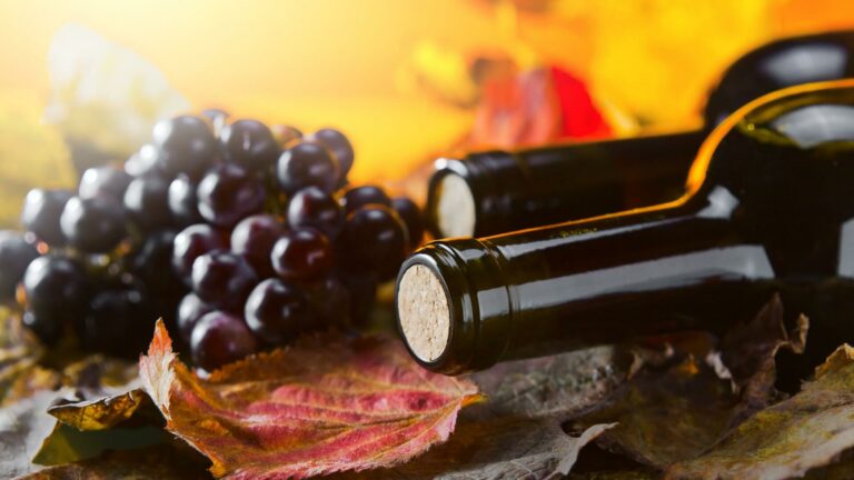 Vinho Cabernet Sauvignon: Uma Jornada de Sabores e História